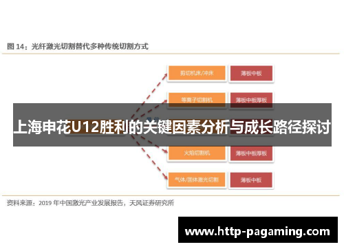 上海申花U12胜利的关键因素分析与成长路径探讨