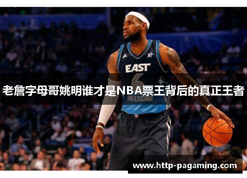 老詹字母哥姚明谁才是NBA票王背后的真正王者