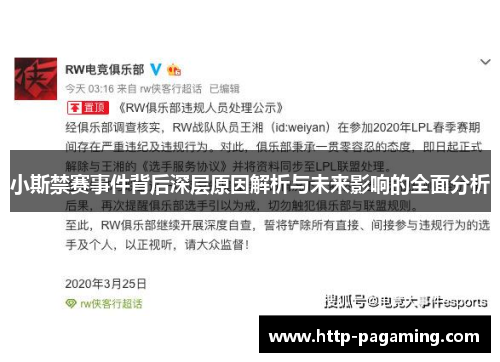 小斯禁赛事件背后深层原因解析与未来影响的全面分析