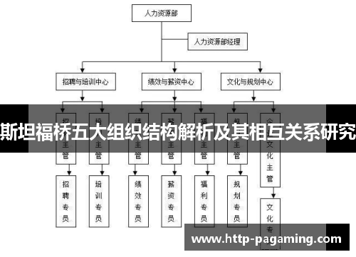 斯坦福桥五大组织结构解析及其相互关系研究