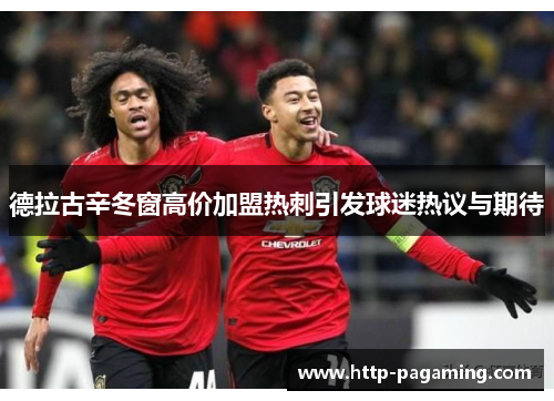 德拉古辛冬窗高价加盟热刺引发球迷热议与期待