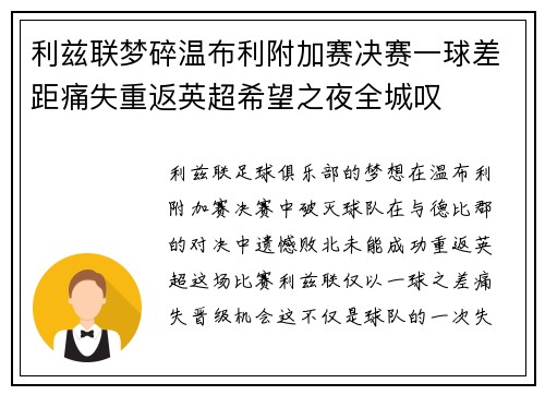 利兹联梦碎温布利附加赛决赛一球差距痛失重返英超希望之夜全城叹